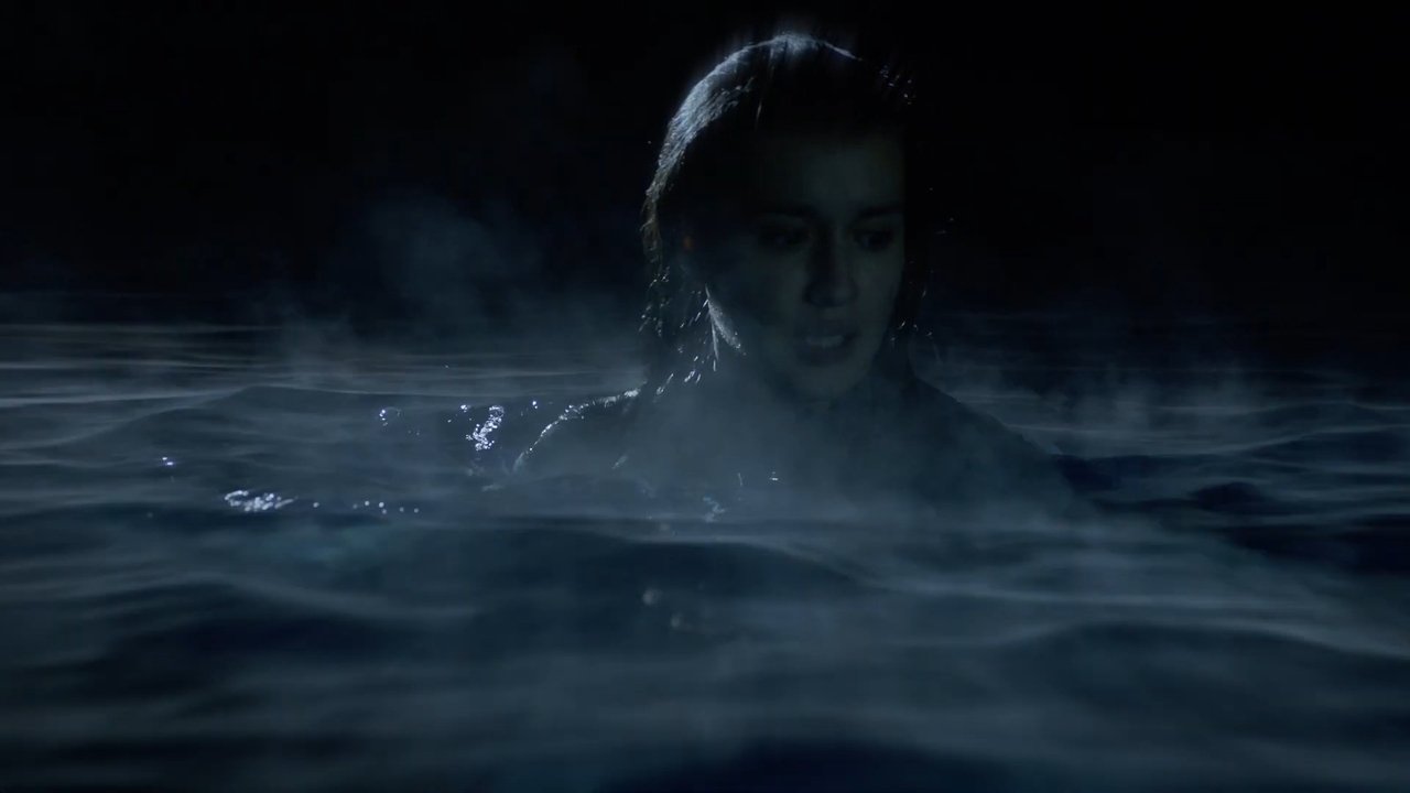 Ghost Shark Collection background